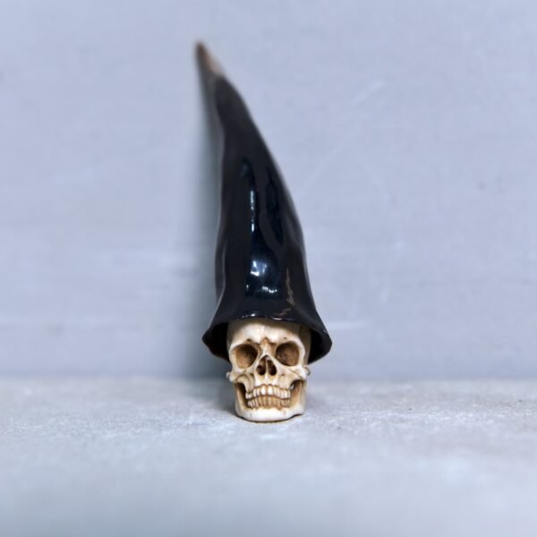 Skull With Long Hat
